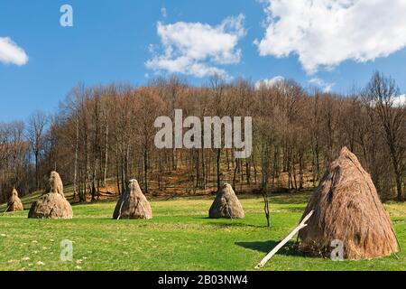 Piles de foin dans la campagne de Bosnie, près de la ville de Visoko, en Bosnie-Herzégovine Banque D'Images