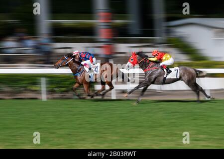 Hong Kong, Novembre 2019 : Course De Chevaux À L'Hippodrome De Hong Kong Jockey Club Happy Valley Banque D'Images