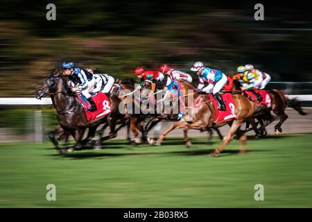 Hong Kong, Novembre 2019 : Course De Chevaux À L'Hippodrome De Hong Kong Jockey Club Happy Valley Banque D'Images