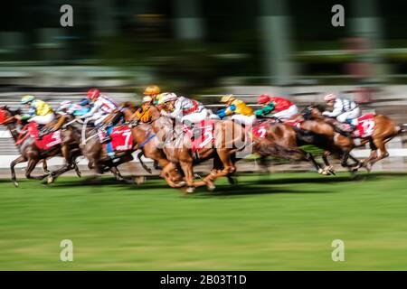 Hong Kong, Novembre 2019 : Course De Chevaux À L'Hippodrome De Hong Kong Jockey Club Happy Valley Banque D'Images