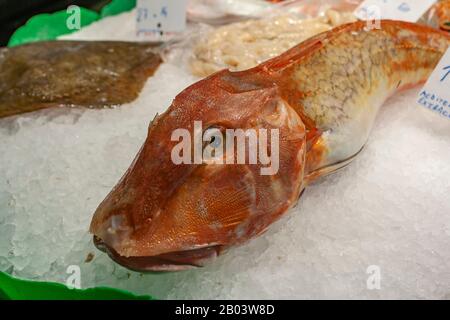 Poisson frais entier sur un bloc de glace dans Mercado de la Boqueria un Célèbre marché public intérieur vendant de la viande, des produits, du fromage et une gamme d'autres aliments dans Banque D'Images