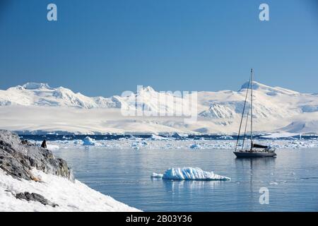 Un yacht amarré au large de l'île de Cuverville, Errera Channel, Arctowski Peninsular, Antarctique. Banque D'Images