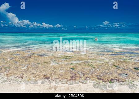 Vue sur l'océan à Nungwi, Zanzibar, Tanzanie, Afrique Banque D'Images