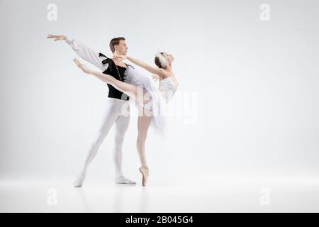 Direction. Des danseurs de ballet classiques gracieux dansent sur fond blanc. Couple en vêtements blancs comme un cygne blanc. Le concept de grâce, d'artiste, de mouvement, d'action et de mouvement. Banque D'Images
