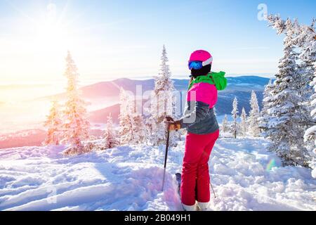 Skier ski alpin dans les hautes montagnes hiver forêt Banque D'Images