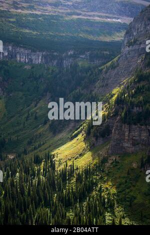 Vue sur les pistes de montagne depuis La route Going-to-the-Sun, près du col Logan, dans le parc national des Glaciers, Montana, États-Unis. Banque D'Images
