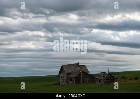 Abandon de la vieille ferme Weber dans le comté de Whitman, dans la Palouse, près de Pullman, État de Washington, États-Unis, avec ciel sombre et couvert. Banque D'Images