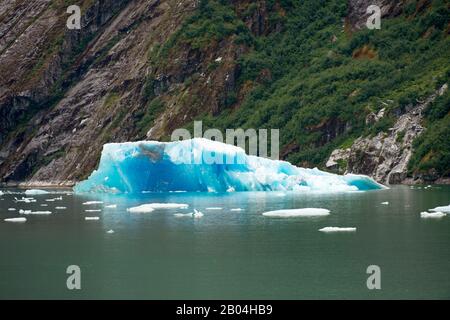 Un iceberg bleu flottant qui s'est cassé du glacier de Dawes, un glacier marémotrice à la fin du bras Endicott dans la forêt nationale de Tongass, au sud-est Banque D'Images