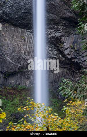 Vue sur les chutes de Latourell à l'automne, une chute d'eau près de Portland le long de la gorge de Columbia River en Oregon, aux États-Unis, dans le parc national Guy W. Talbot. Banque D'Images