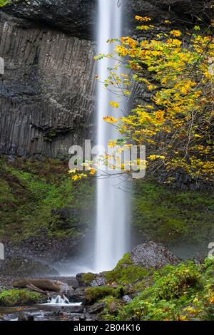 Vue sur les chutes de Latourell à l'automne, une chute d'eau près de Portland le long de la gorge de Columbia River en Oregon, aux États-Unis, dans le parc national Guy W. Talbot. Banque D'Images