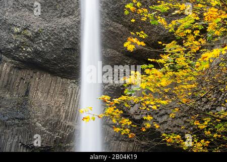 Vue sur les chutes de Latourell à l'automne, une chute d'eau près de Portland le long de la gorge de Columbia River en Oregon, aux États-Unis, dans le parc national Guy W. Talbot. Banque D'Images