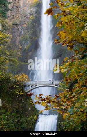 Vue sur les chutes de Multnomah avec un pont à pied à l'automne, une chute d'eau près de Portland le long de la gorge du fleuve Columbia dans l'Oregon, aux États-Unis. Banque D'Images