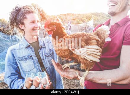 Heureux couple ramasser des œufs biologiques frais dans la ferme du poulailler au coucher du soleil - jeunes agriculteurs travaillant en été - mode de vie sain, amour, agriculture - Banque D'Images