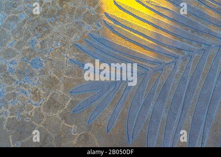 Ombres de feuilles de palmier sur une plage tropicale. Concept de vacances à la mode. Mise au point sélective. Banque D'Images