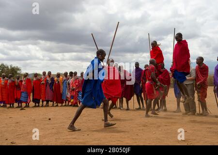 Les hommes de Masai qui dansent traditionnellement dans un village de Masai à l'extérieur du parc national d'Amboseli au Kenya. Banque D'Images