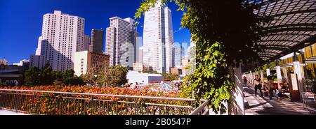 Les gens marchant sur une passerelle dans un jardin, Yerba Buena Gardens, San Francisco, Californie, États-Unis Banque D'Images