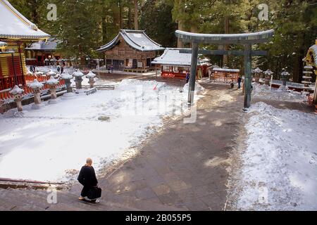 Torii, porte, vue d'ensemble, homme, dans le temple de Toshogu, Nikko, Japon Banque D'Images