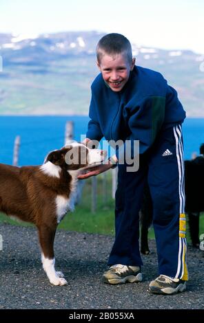 ISLANDE, CÔTE EST, FARMBOY ISLANDAIS AVEC CHIEN Banque D'Images