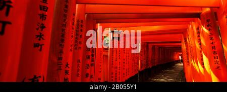 Portes Torii D'Un Sanctuaire, Fushimi Inari-Taisha, Quartier De Fushimi, Kyoto, Préfecture De Kyoto, Région De Kinki, Honshu, Japon Banque D'Images