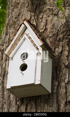 Gros plan de maison à oiseaux en bois peint blanc accrochée à un tronc d'arbre à feuilles caduques dans le jardin de la cour avant en été. Banque D'Images