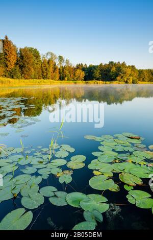 Burgaeschisee à l'aube, Suisse, Solothurn Banque D'Images