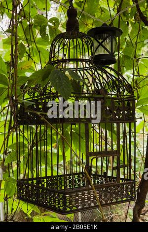 Cage à oiseaux en métal incrusté de silhouetté à l'extérieur en été. Banque D'Images