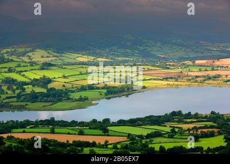 Bocage Paysage À Brecon Beacons, Royaume-Uni, Pays De Galles, Brecon Beacons National Park Banque D'Images