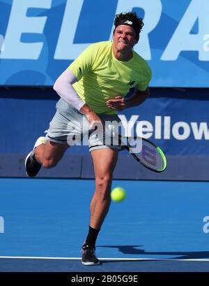 Delray Beach, Floride, États-Unis. 18 février 2020. Milos RAONIC (CAN) sert contre Denis ISTOMIN (UZB) au tournoi de tennis professionnel ATP ouvert de la plage Delray 2020, joué au Delray Beach Stadium & tennis Center à Delray Beach, Floride, États-Unis. Mario Houben/Csm/Alay Live News Banque D'Images