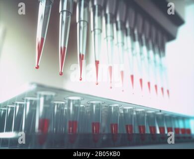 Pipettes multicanaux et plaques multi-puits utilisées en laboratoire de microbiologie. Illustration tridimensionnelle. Banque D'Images