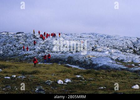 CANADA, NUNAVUT, BAIE D'HUDSON, ÎLE DE MARBRE, PAYSAGE AVEC TOURISTES Banque D'Images