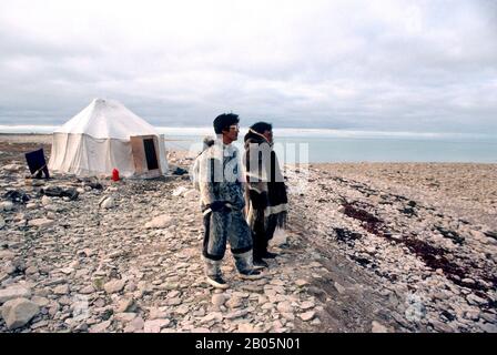CANADA, T.N.-O., BAIE D'HUDSON, ÎLE DE SOUTH HAMPTON, PT., INUIT AU CAMP DE CHASSE D'ÉTÉ Banque D'Images