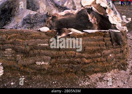 CANADA, T.N.-O., BAIE D'HUDSON, ÎLE DE SOUTH HAMPTON, PT INDIGÈNE, CAMP DE CHASSE D'ÉTÉ INUIT TRADITIONNEL Banque D'Images