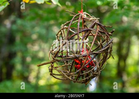 Gros plan de mise au point sélective d'un oiseau mangeur artisanal dans les bois avec fond vert flou et espace de copie à gauche, rempli de baies rouges Banque D'Images