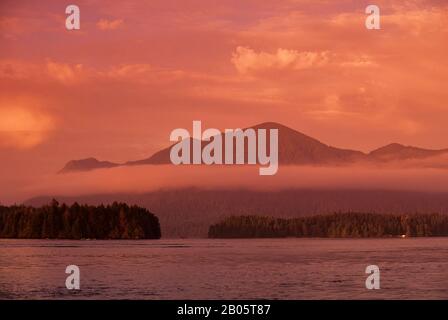 CANADA, C.-B., ÎLE DE VANCOUVER TOFINO, VUE SUR L'ÎLE MEARES, LUMIÈRE DU SOIR Banque D'Images