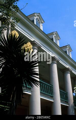 LOUISIANE, PRÈS DE LA NOUVELLE-ORLÉANS, PLANTATION DE RUELLE DE CHÊNE, MANSION, YUCCA EN PREMIER PLAN Banque D'Images