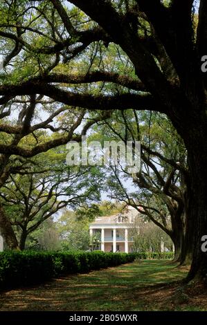 LOUISIANE, PRÈS DE LA NOUVELLE-ORLÉANS, PLANTATION DE RUELLE DE CHÊNE Banque D'Images