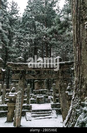 Okunoin, le plus grand cimetière du Japon, situé sur le mont Koya, lieu de naissance et centre spirituel du bouddhisme Shingon, site désigné par l'UNESCO. Banque D'Images