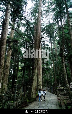 Okunoin, le plus grand cimetière du Japon, situé sur le mont Koya, lieu de naissance et centre spirituel du bouddhisme Shingon, site désigné par l'UNESCO. Banque D'Images