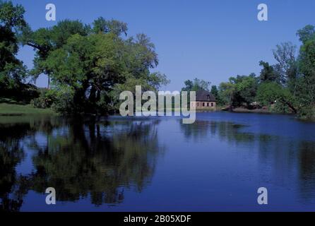 ÉTATS-UNIS, CAROLINE DU SUD, PRÈS DE CHARLESTON, ASHLEY R., MIDDLETON PLACE PLANTATION, ÉTANG DE MOULIN À RIZ Banque D'Images