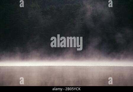 ÉTATS-UNIS, MAINE, PRÈS DE STRATTON, LITTLE JIM POND, TÔT LE MATIN, LE BROUILLARD MONTE Banque D'Images