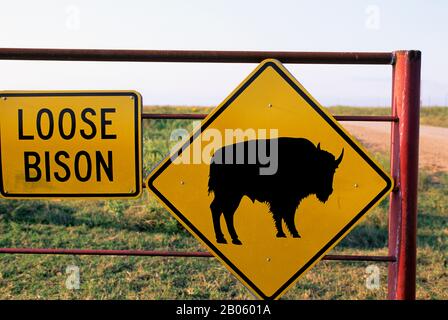 OKLAHOMA, PRÈS DE PAWHUSKA, LA RÉSERVE DE PRAIRIES À HERBES HAUTES DE CONSERVATION DE LA NATURE, SIGNE DE BISONS LÂCHES Banque D'Images