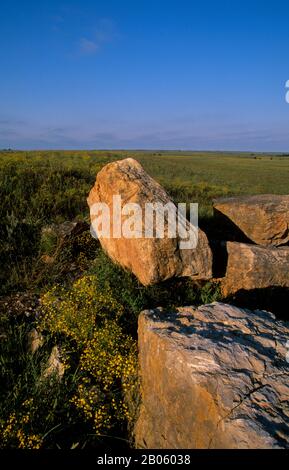 OKLAHOMA, PRÈS DE PAWHUSKA, LA RÉSERVE DE PRAIRIES DE HAUTES HERBES DE CONSERVATION DE LA NATURE, LE GRÈS ET BROOMWEED Banque D'Images