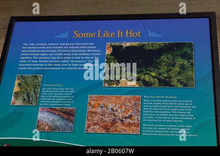 Thermopolis, WYOMING - 5 juillet 2014 : un panneau d'information du Service des parcs nationaux expliquant les microbes qui vivent dans les eaux des sources chaudes de Thermop Banque D'Images