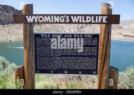 Wind RIVER CANYON, WYOMING - 6 juillet 2014 : un panneau en bois détaillant des informations sur les moutons sauvages et les incendies sauvages dans le canyon de Wind River, Wyoming sur Ju Banque D'Images