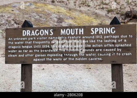 Panneau En Bois De Printemps De La Bouche Du Dragon Banque D'Images