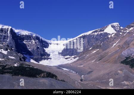 CANADA, ALBERTA, PARC NATIONAL JASPER, RIVIÈRE SUNWAPTA, MONT KITCHENER Banque D'Images