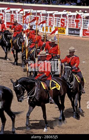 CANADA, ALBERTA, CALGARY, CALGARY STAMPEDE, SPECTACLE DE LA GENDARMERIE ROYALE DU CANADA Banque D'Images