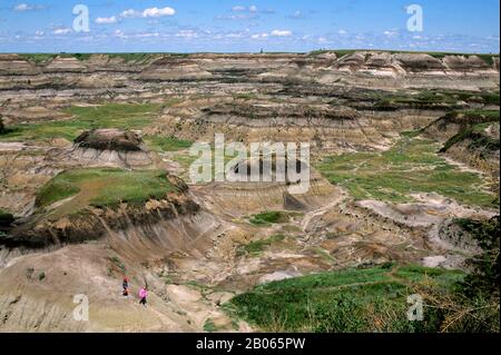 CANADA, ALBERTA, PRÈS DE DRUMHELLER, CANADIAN BADLANDS, HORSESHOE CANYON Banque D'Images