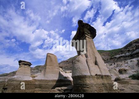 CANADA, ALBERTA, PRÈS DE DRUMHELLER, BADLANDS DU CANADA, HOODOOS (SCULPTURES EN GRÈS) Banque D'Images