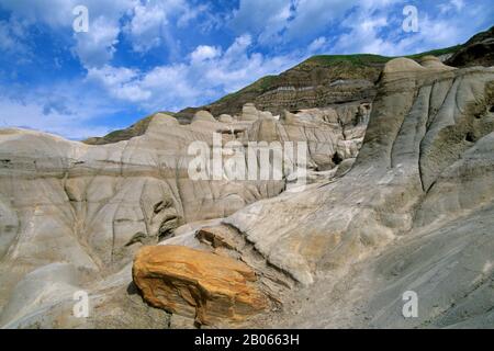 CANADA, ALBERTA, PRÈS DE DRUMHELLER, BADLANDS DU CANADA, HOODOOS (SCULPTURES EN GRÈS) Banque D'Images